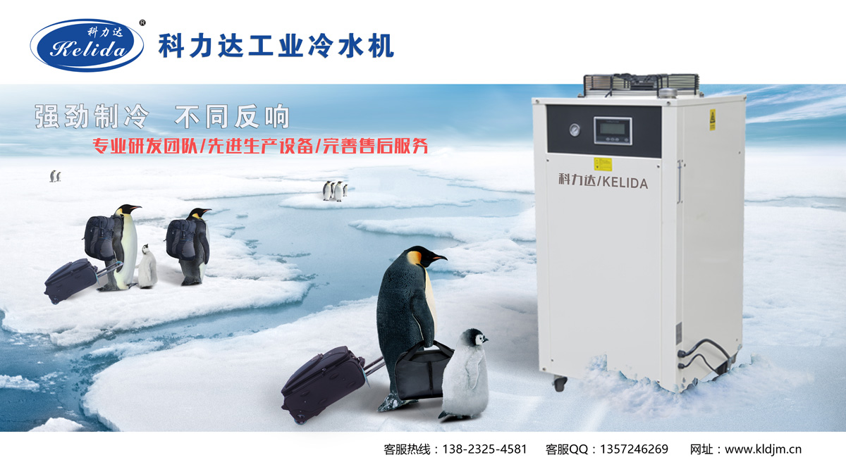 1-1F51PR243221.jpg